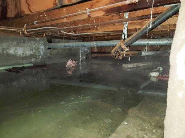 Trusted NY Water damage restoration Experts