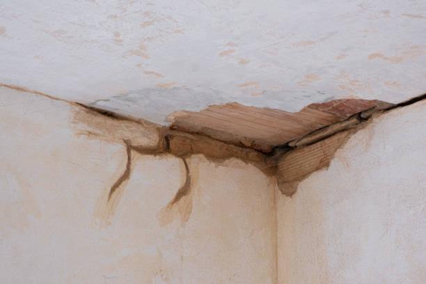 Best Water damage restoration near me  in Woodbury, NY