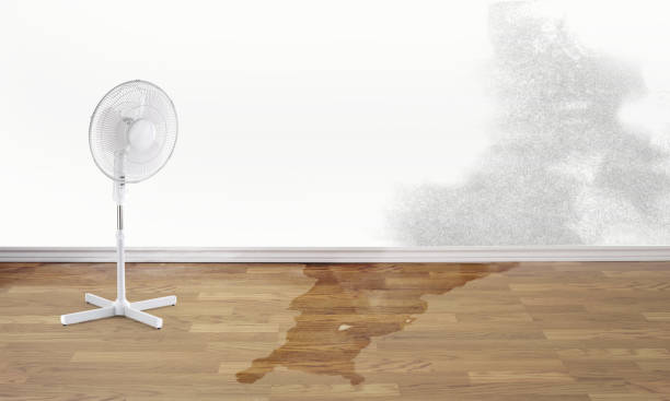 Best 24-hour water damage restoration  in Woodbury, NY