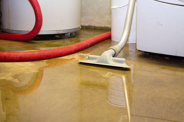 Best Mold removal after water damage  in Woodbury, NY