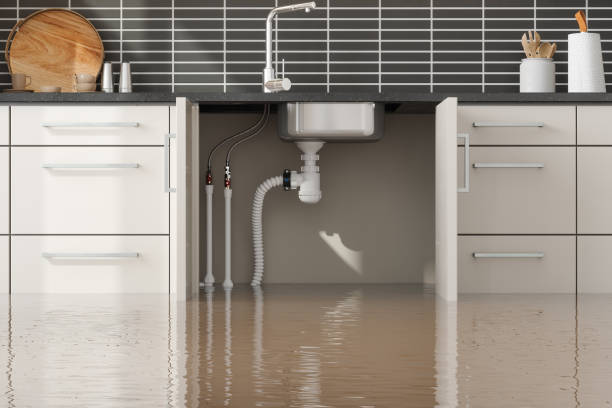 Best Professional water damage repair  in Woodbury, NY